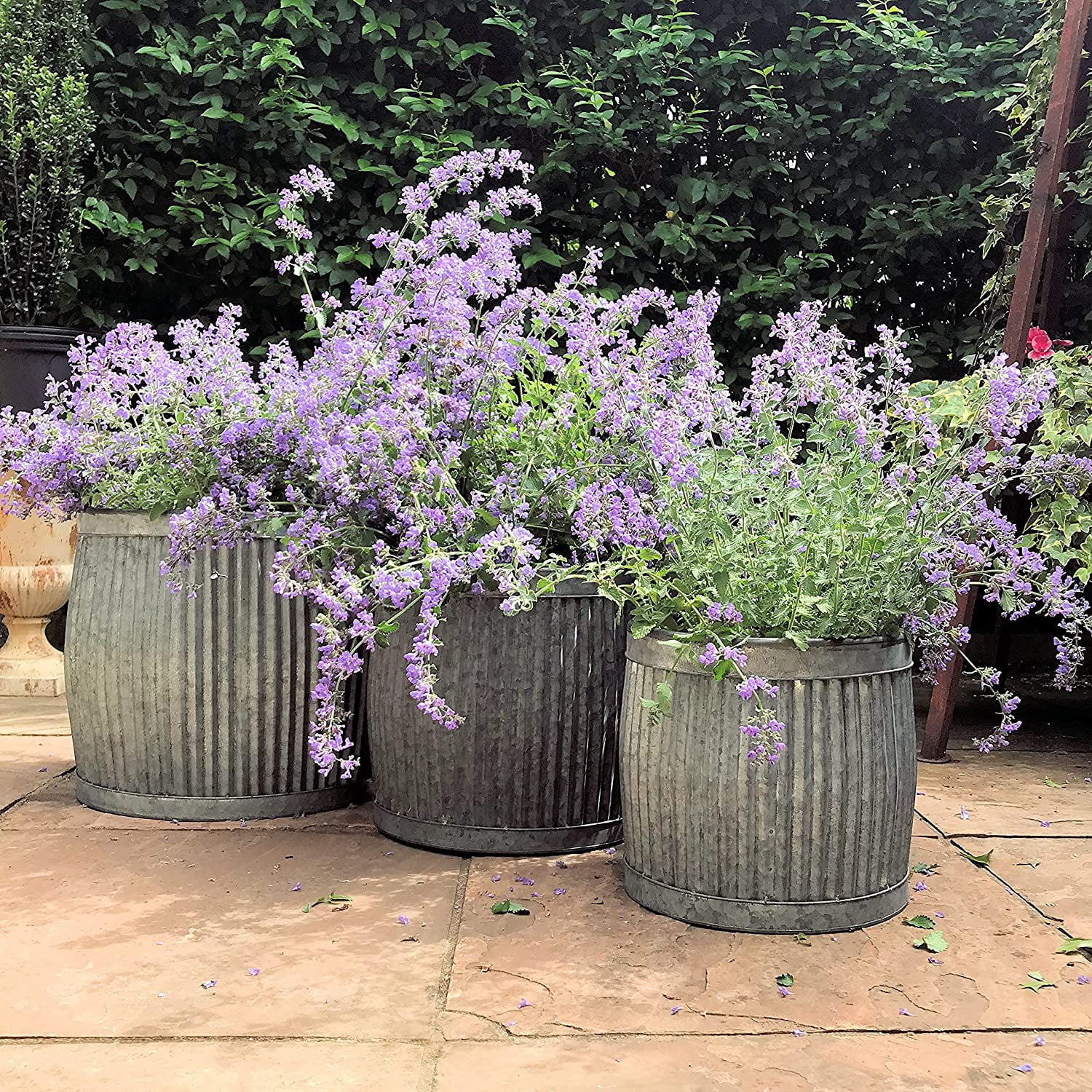 French Country Style Belly Bucket Planters, Set of 3, Galvanized Metal , Corrugated Cache Pots, Rustic Wash Basin, From Over 1 Ft Diameter (17 - 12 Inches)