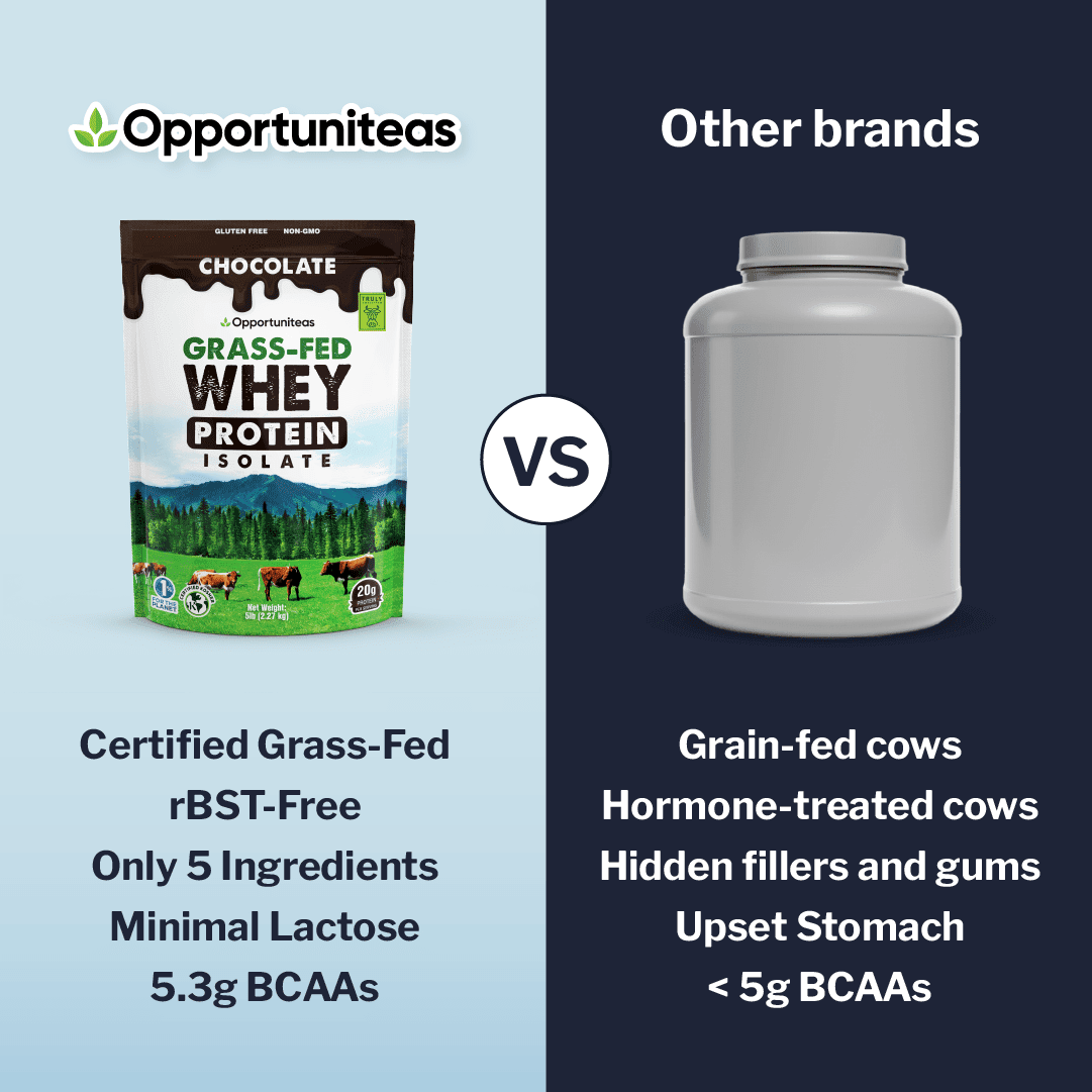 Opportuniteas Chocolate Whey Protein Powder Organic Grass Fed Whey Isolate for Shakes and Baking 5 lbs