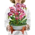 thumbnail image 1 of Tarjeta pop-up Freshcut Paper Orchid Oasis ramo de 30 cm, 1 of 9