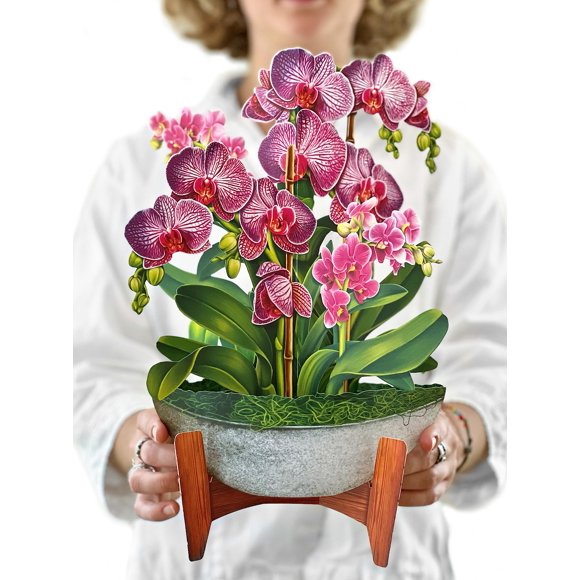 Tarjeta pop-up Freshcut Paper Orchid Oasis ramo de 30 cm