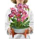 thumbnail image 1 of Tarjeta pop-up Freshcut Paper Orchid Oasis ramo de 30 cm, 1 of 9
