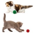 thumbnail image 4 of 2PCS Christmas Cat Ball Toy Interactive Cat Training Toy Cat Play Toy Kitten Toy, 4 of 10