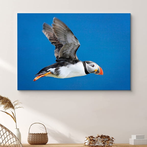 PixonSign Canvas Print Wall Art Flying Atlantic Puffin Animals Wilderness Photography Realism Glam Aerial Colorful Multicolor Ultra for Living Room, Bedroom, Office - 32x48