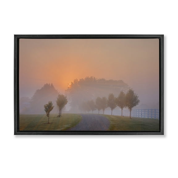 Stupell Industries Grove Path at Sunset Landscape & Nature Photography Black Floater Framed Canvas Art Print Wall Art, 25 x 17