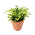 thumbnail image 4 of Casa de Muñecas en Maceta Planta Accesorios Sala de Estar Dormitorio Jardín de Hadas Bonsái Artificial CUTICAT Estilo B, 4 of 8