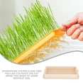 thumbnail image 4 of OULII 1Pcs Cat Grass Cultivation Box for Soilless Planting in Beige Color, 4 of 8