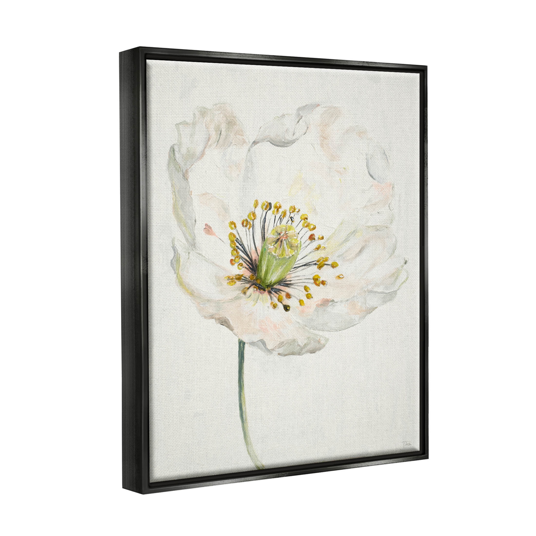 Stupell Industries Delicate Beauty White Flower Graphic Art Jet Black Floating Framed Canvas Print Wall Art, Design by Patricia Pinto