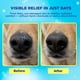 thumbnail image 3 of Bálsamo para nariz y patas para perros Handy Hound SnoutScreen 60 ml, 3 of 8