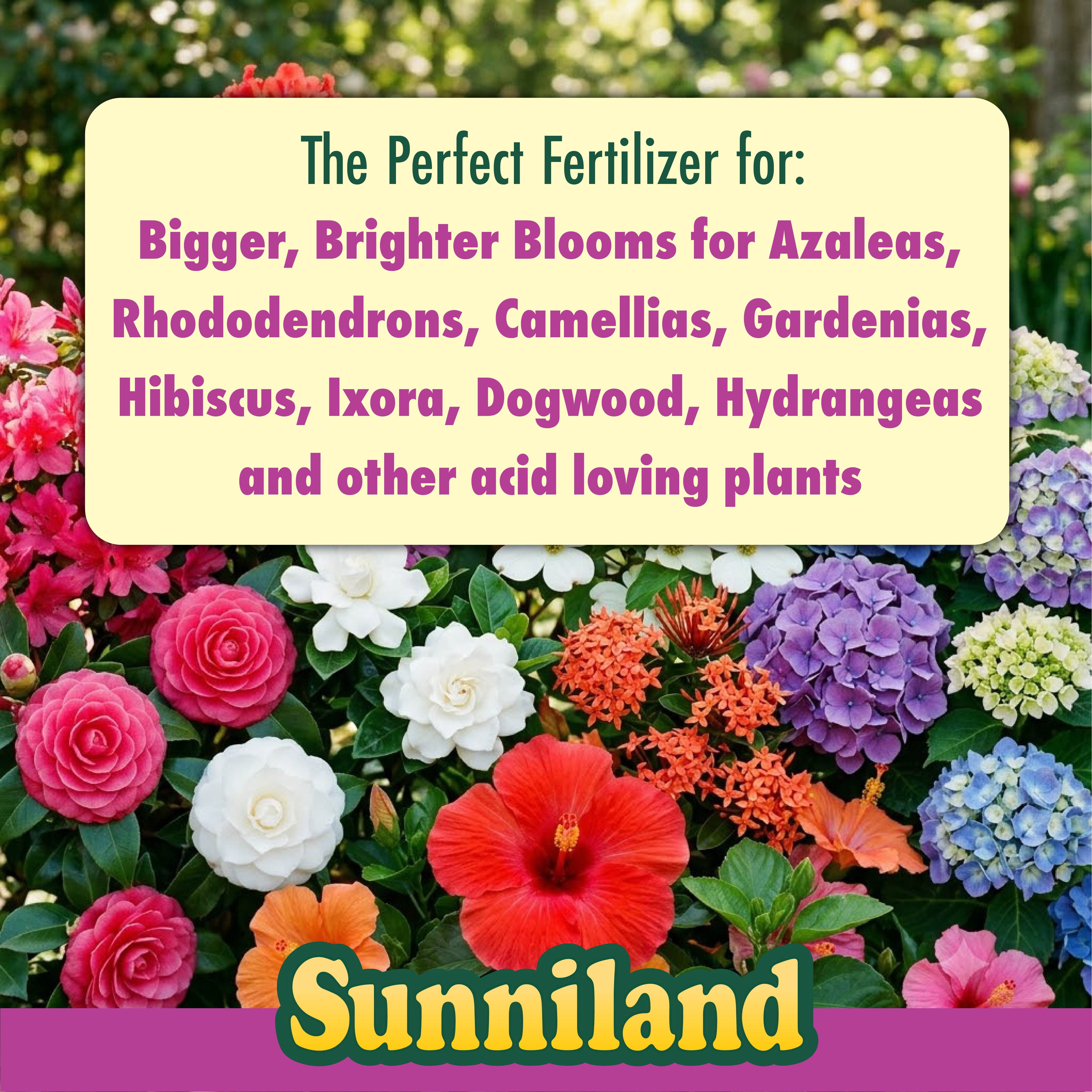 Sunniland Azalea Camellia & Gardenia Fertilizer, 10 lb. - Walmart.com
