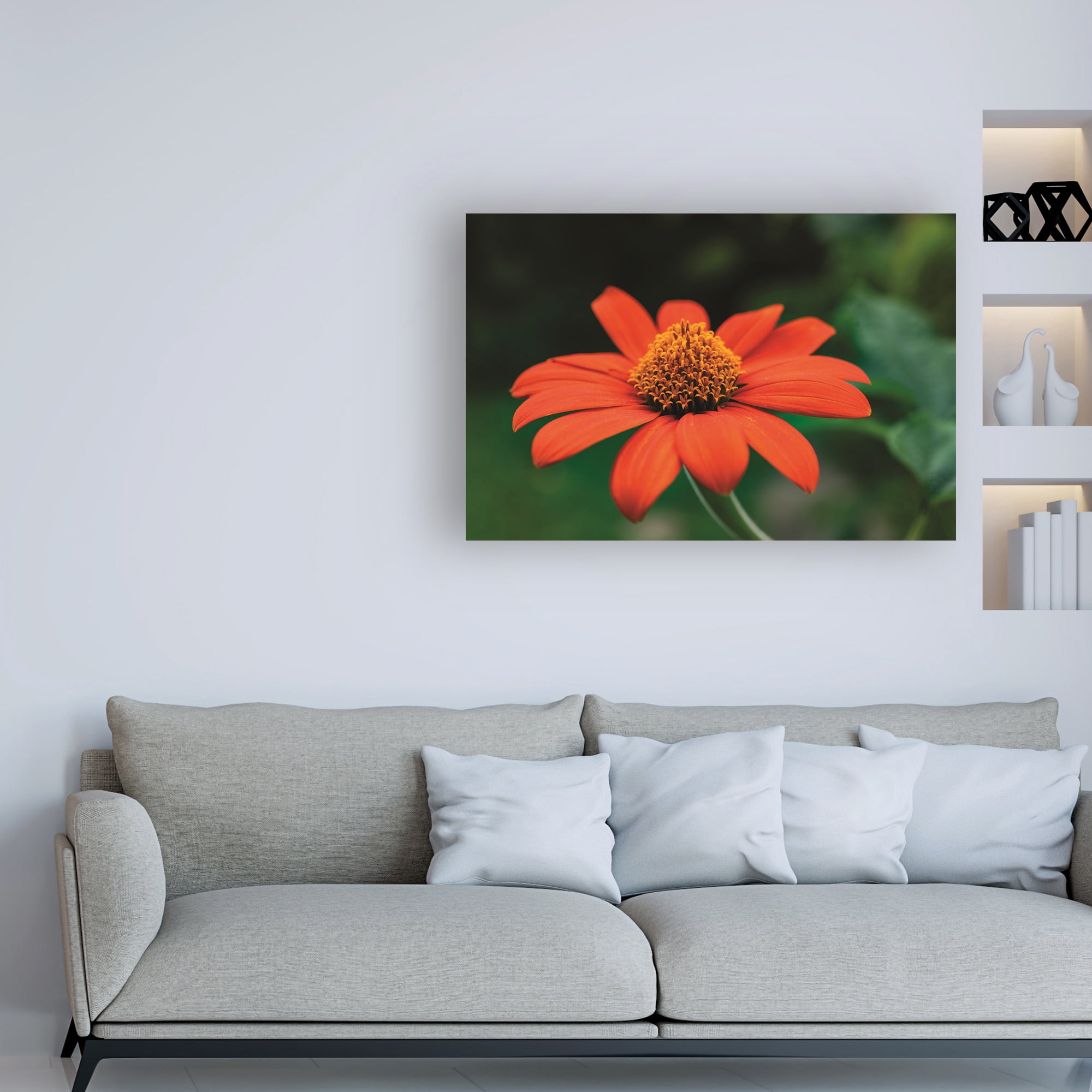 Trademark Fine Art 'Orange and Yellow Summer' Canvas Art by Kurt Shaffer Photographs