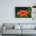 thumbnail image 3 of Trademark Fine Art 'Orange and Yellow Summer' Canvas Art by Kurt Shaffer Photographs, 3 of 3