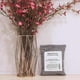 thumbnail image 2 of Activated Bamboo Charcoal Bag Odor Remover 200gx4, Air Purifying Bags for Home, Car, Closet, Shoes, 2 of 5