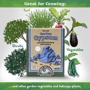 Down To Earth All Natural Fertilizers Prilled Garden Gypsum, 5 lb Box