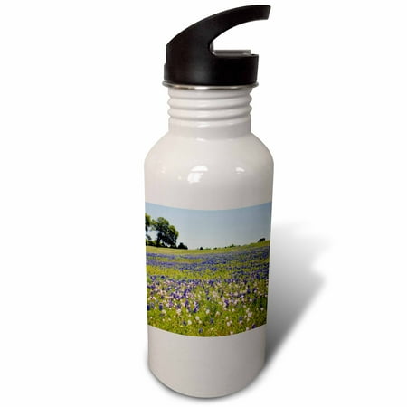 

3dRose Horse in Bluebonnet Evening Primrose Texas - US44 DFR0237 - David R. Frazier Sports Water Bottle 21oz