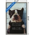 thumbnail image 3 of Lucia Heffernan Art - Boston Mug Shot Wall Poster, 22.375" x 34" Framed, 3 of 5