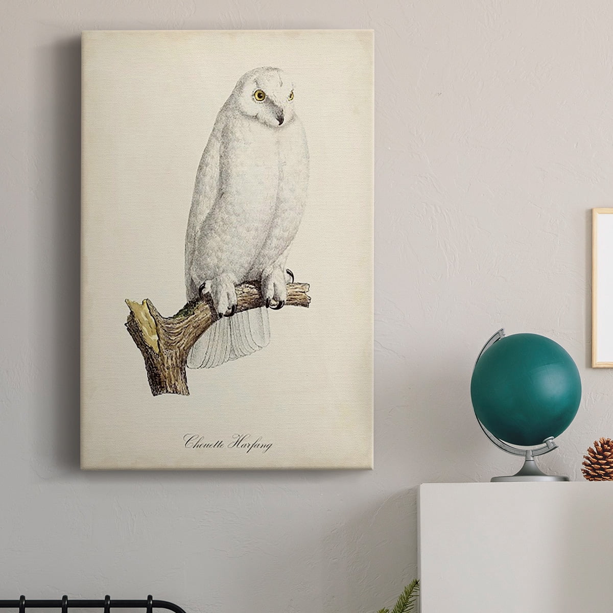 French Owls IV Premium Gallery Wrapped Canvas - Ready to Hang