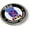Aluminum Bezel, variant on BestLicensePlateFrames - US Army 10th Mountain Division Iraq Combat Veteran 3D Domed CAR Emblem Badge Sticker Flexible - Official U.S. Army Licensed Product
