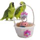 thumbnail image 5 of Juguete de cesta para pájaros, cesta oscilante para loros de juguete, cesta para loros, juguete para loros, tecnología de vanguardia, 5 of 8