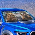 thumbnail image 4 of Xixirimido Car Windshield Sun Shade Car Sun Visor Block UV Rays Foldable Automotive Windshield Sunshades Front Window Sun Blocker Keep Your Vehicle Cool, Sloths, 4 of 8
