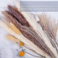 thumbnail image 5 of 60 uds hierba de pampa seca Natural decorativa, reedspapapas Grasstail Weedcrab Billy Balls compatibles con Wedd, 5 of 5