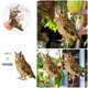 thumbnail image 2 of Colgante Espantapájaros Con Forma De Búho. Adorno Para Espantar Pájaros En El Huerto. Decoración Animal Para Patio Exterior Con Cuerda De Sisal De 60 Cm Y Cinta De 60 Cm., 2 of 8