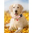 thumbnail image 2 of Collar Con Estampado De Frutas Para Perros, Cachorros Y Gato, 2 of 8