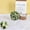 Q, variant on Ceiling Decoration with Hanging Flowers, Green Plants and Botanical Niches,Flower Suspended Ceiling Home Decoration Hanging Green Plant Opening