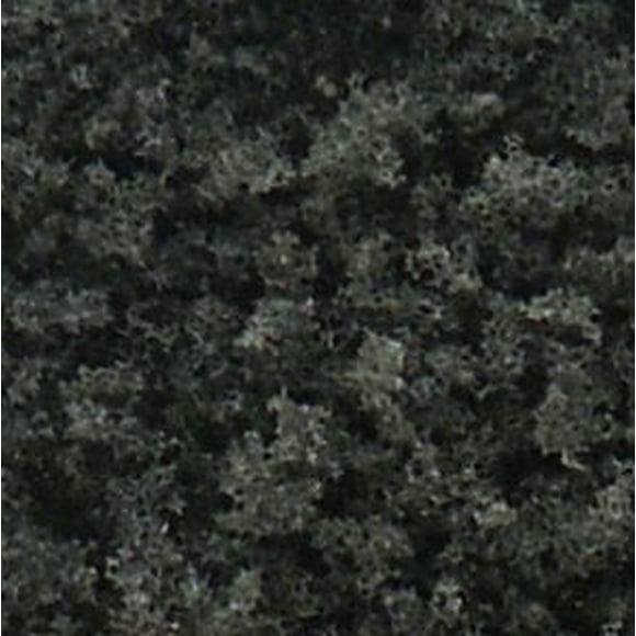 Coarse Turf Shaker, Conifer
