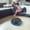 Black, variant on Intelligent Household Wet And Dry Mopping Robot Mops,Charging Vacuum Cleaner- Low-Noise,Collision Protection,Rotary Cleaning,No Control Required.