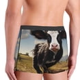 thumbnail image 5 of Daiia Cute Prairie Cow Men's Underwear Boxer Briefs, Cotton Stretch Moisture-Wicking Underwear-Large, 5 of 9