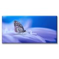 thumbnail image 1 of Cuadro Canva Listo Para Colgar Tipo Galería Gota Y Mariposa 50X100 cm, 1 of 4