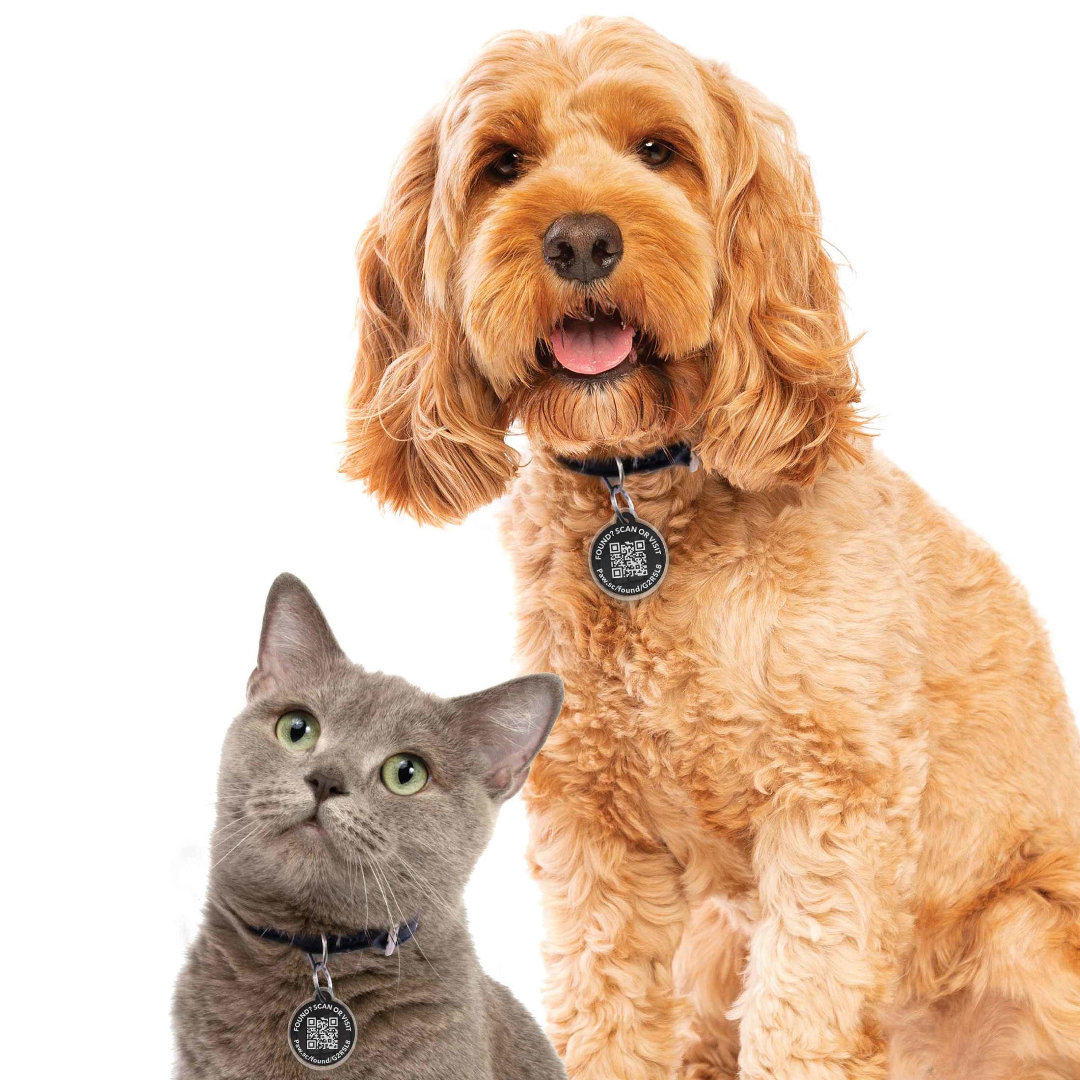 Pawscout Qr Smart Pet Tag for Dogs and Cats photo 3