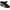Black Patent, variant on Capezio Jr. Tyette Tap Shoe - Child - Girls