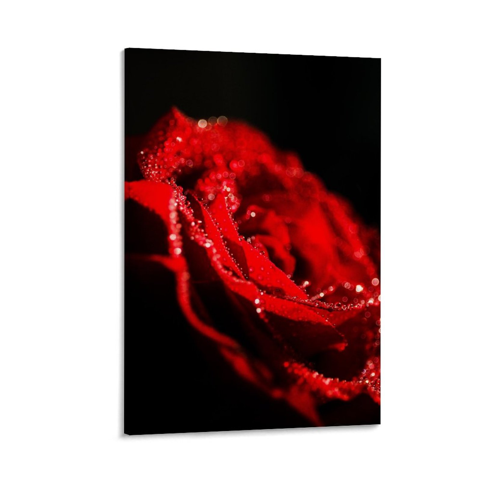 Red Rose Black Background Unframed Canvas Wall Decor, Vertical Version