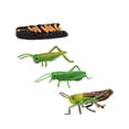 thumbnail image 1 of Conjunto de ciclo de vida de langosta, modelo de simulación cognitiva, del ciclo de vida, modelo de enseñanza de animales, juego para niños, 1 of 9