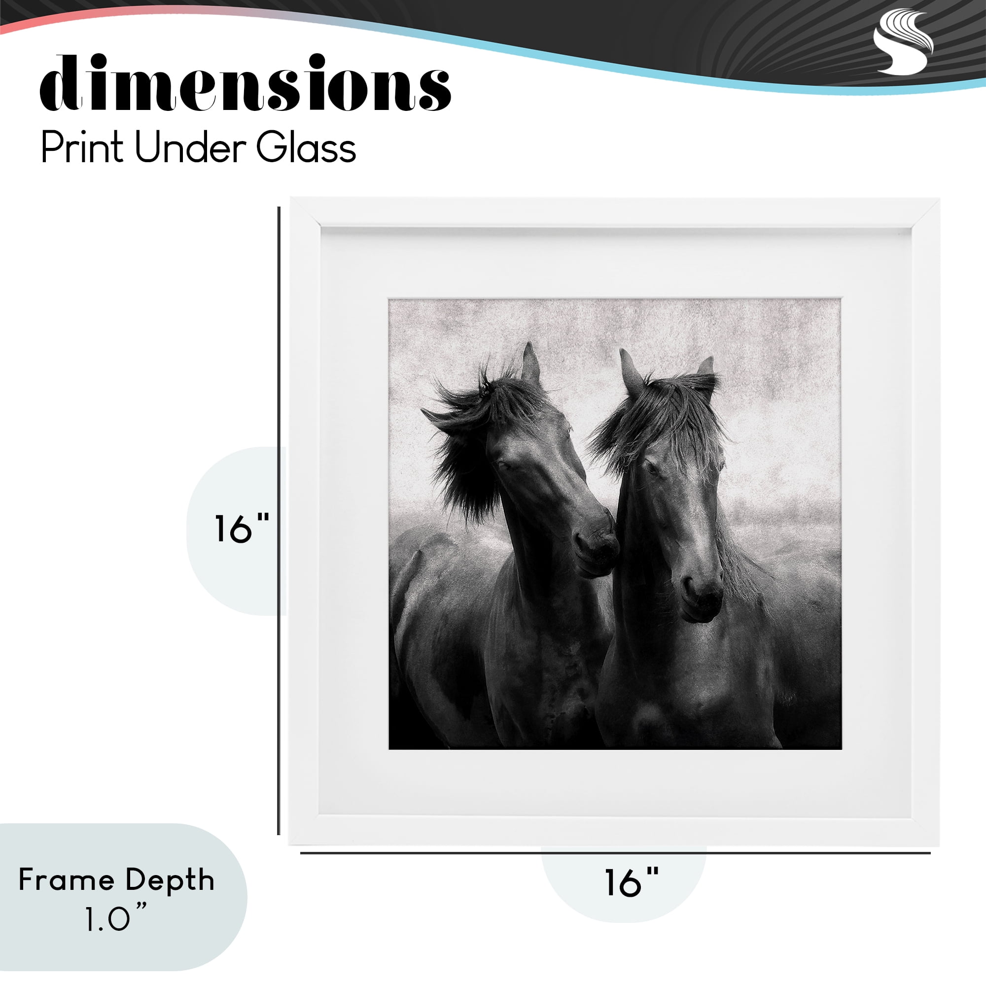 Stupell Industries Short Haired Horse Pair White Framed Print Under Glass, design by Lars Van de Goor