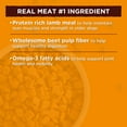 thumbnail image 4 of Nature's Recipe Lamb Meal & Rice Recipe Dry Dog Food for Senior Dogs, 30 Pounds, 4 of 9