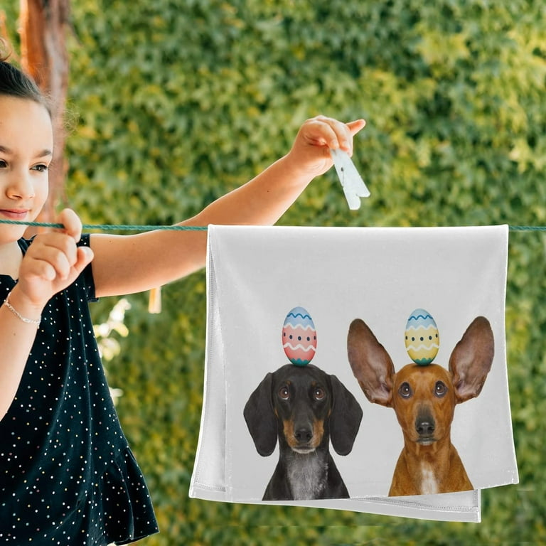 Dachshund hand towels new arrivals