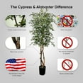 thumbnail image 5 of Cypress & Alabaster Handmade 6.5ft Mediterranean Olive Artificial Tree with Ethically Sourced Real Wood Trunks, Hypoallergenic, 6.5-Foot, Green, 5 of 9
