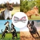 thumbnail image 5 of Dinheiro Pet tie collar de sujeción corbata | | perros y gatos interesantes y encantadores, cómodos y, 5 of 5