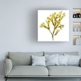 thumbnail image 3 of Jacob Green 'Suspended Seaweed II' Canvas Art, 3 of 3