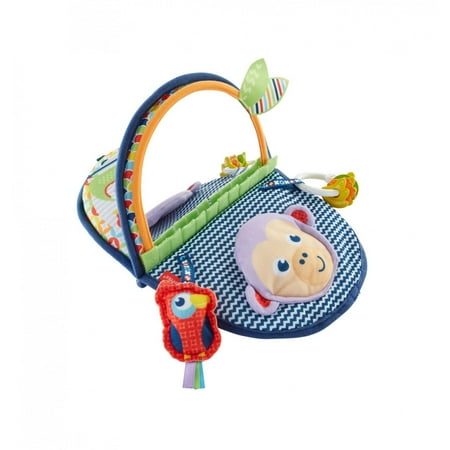- Fisher-Price Monkey Mirror