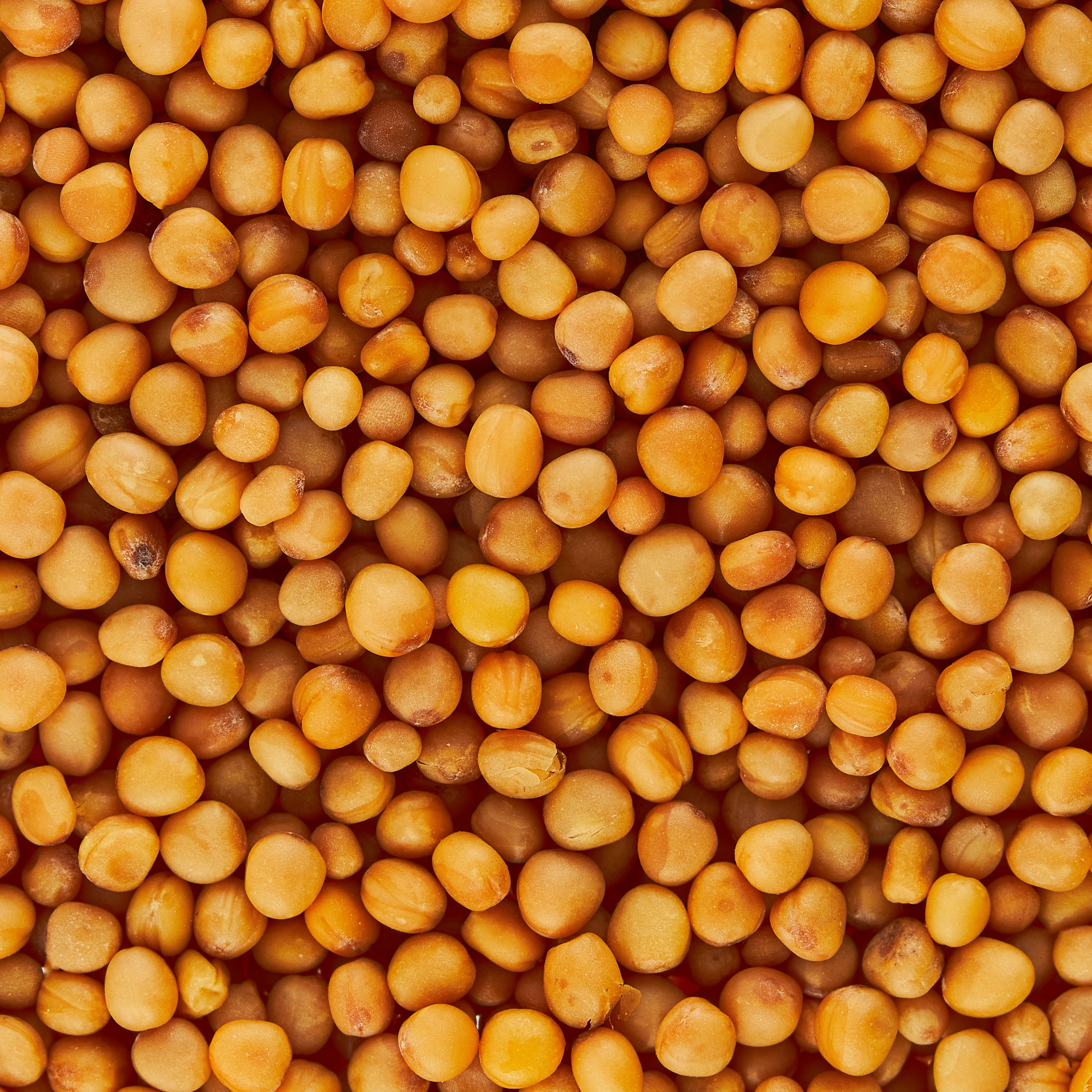 (3 pack) Great Value Organic Whole Mustard Seed, 2.5 oz