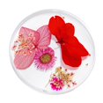 thumbnail image 1 of Decoración 3D Zulema Flores Secas Naturales Para Uñas Acrílicas, 1 of 5
