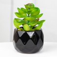 thumbnail image 2 of Artificial Succulent Plant Mini - Plastic Greenery Decoration Faux Potted Plant, 2 of 5