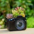thumbnail image 3 of Plant Pot Creative Telephone Camera Resin Flowerpot Succulents Planter Planting Container, 3 of 14