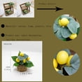 thumbnail image 4 of 3 Pc Artificial Lemon Tree with Woven Basket, Faux Lemon Decor for Kitchen Table, Countertop, Bedroom, Office, Spring Summer Home Decoration, 4 of 7