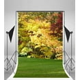 thumbnail image 3 of ABPHOTO 5x7ft Photography Backdrop Autumn Tree Nature Landscape Green Grass Yellow Leaves Photo Background Backdrops, 3 of 4