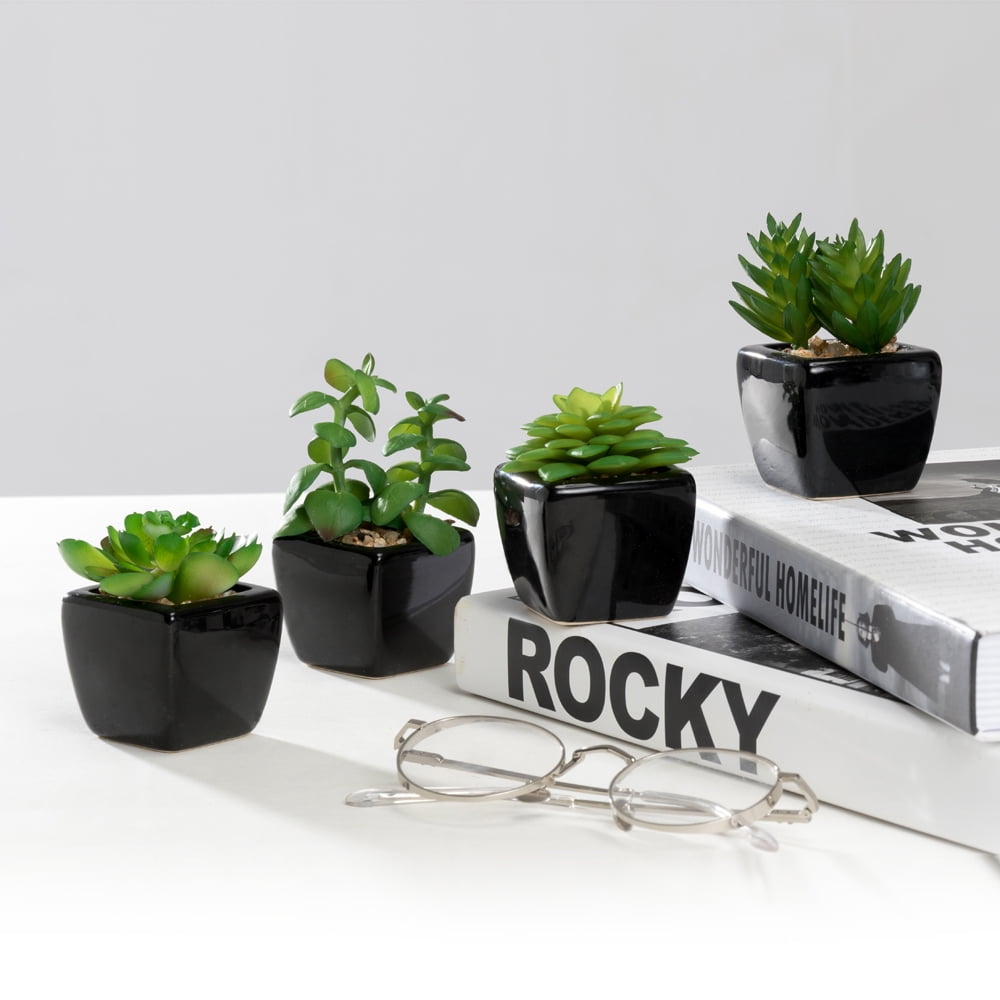 K-Cliffs Set of 4 Mini Artificial Succulents Potted in Cube-Shape Black Ceramic Pots , Dimensions(in inches):  11.0L x 3.0W x 4.3H"