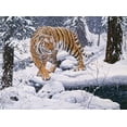 thumbnail image 2 of Tift, Jeff 18x14 White Modern Wood Framed Museum Art Print Titled - Silent Hunter- Siberian Tiger, 2 of 4